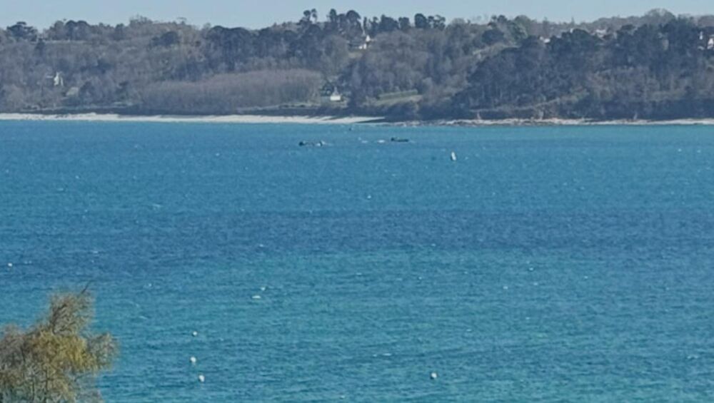 Vente Terrain rare terrain vue mer Perros-guirec
