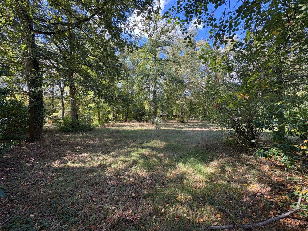 Vente Terrain Grand terrain dans le domaine du lys Lamorlaye