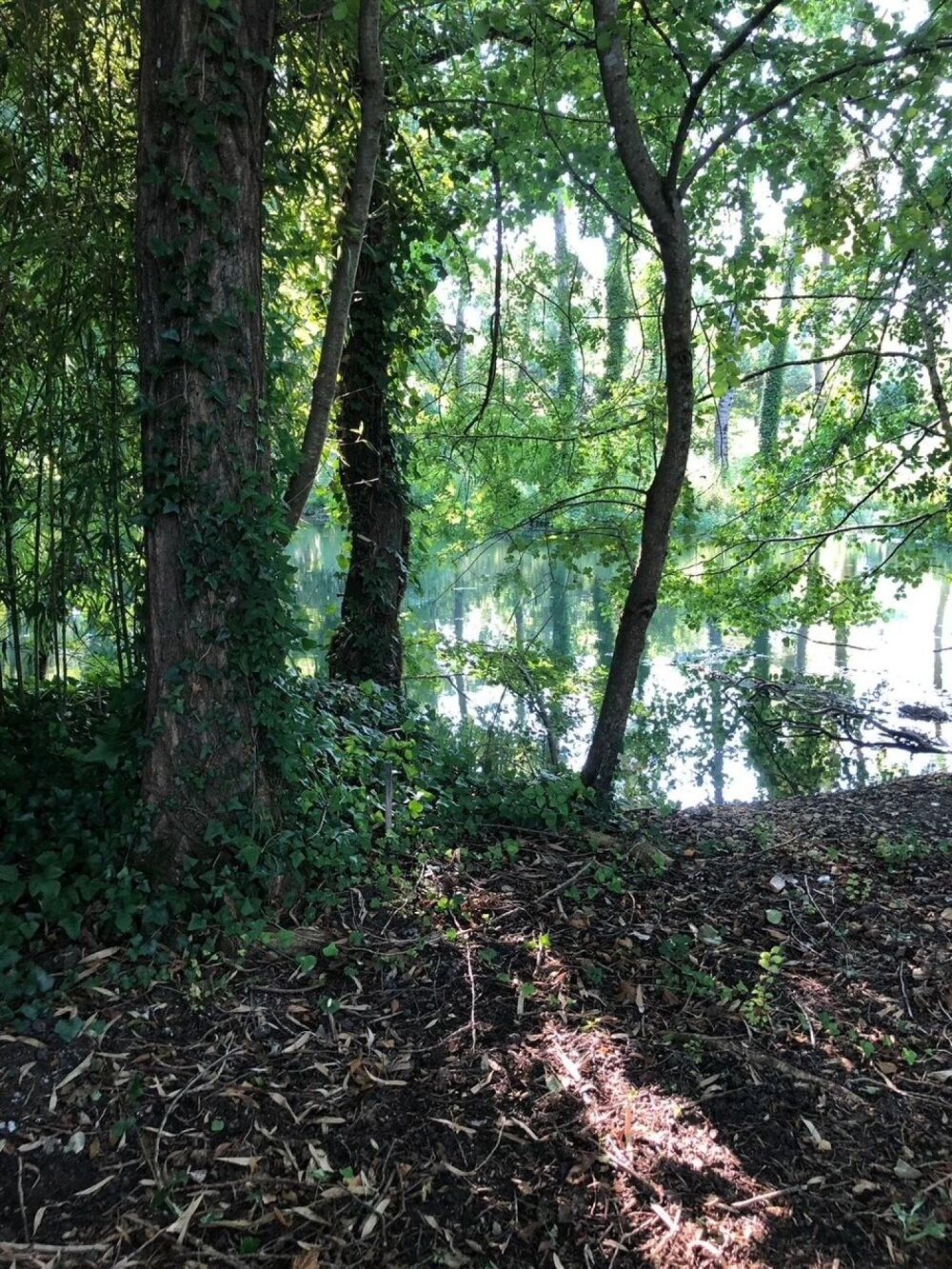 Vente Terrain Terrain situ� dans un cadre bucolique, proche des commodit�s. Cognac