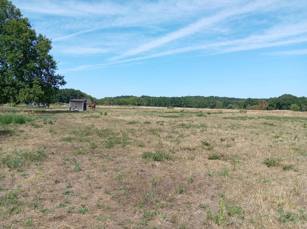 Vente Terrain terrain agricole pour elevage chevaux avec piste d'entrainement au calme La guerche-sur-l'aubois