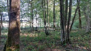  Terrain à vendre 136761 m²