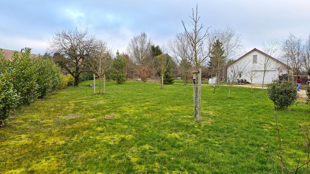 Vente Maison Idéal primo accédant, investisseur ou bricoleur. Pont-sur-yonne