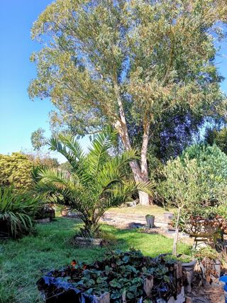  Maison � vendre 5 pi�ces 136 m�