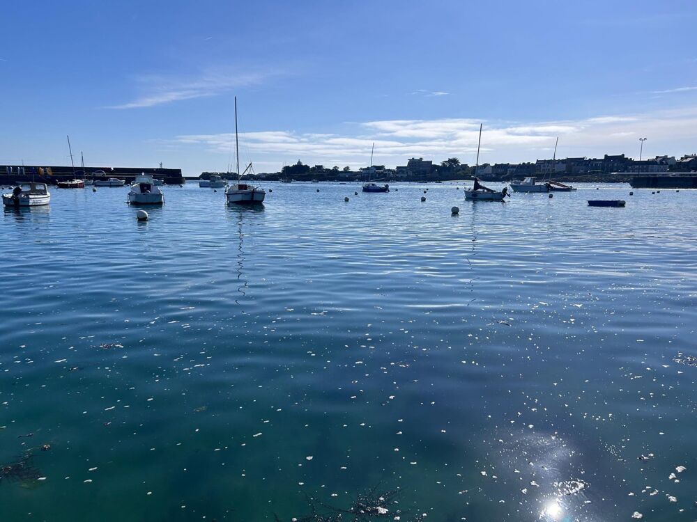 Vente Terrain TERRAIN CONSTRUCTIBLE DE 656 M2 HORS LOTISSEMENT Roscoff