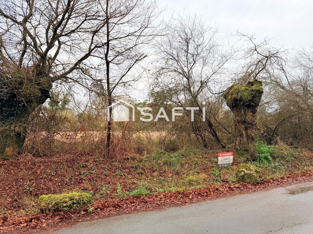 Vente Terrain Terrain 11077m2 dont 6647m2 constructibles Fontaine-le-comte
