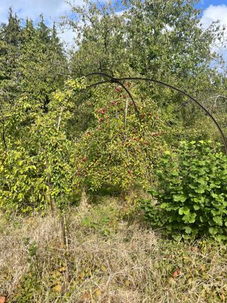  Terrain � vendre 1541 m�