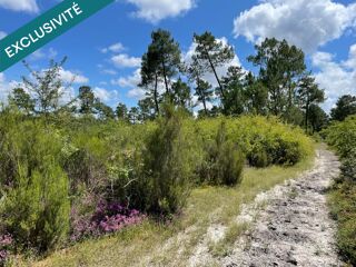 Terrain à vendre 59949 m²