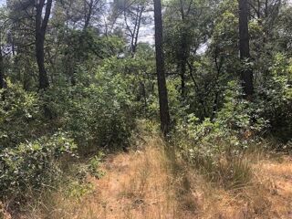  Terrain à vendre 10000 m²