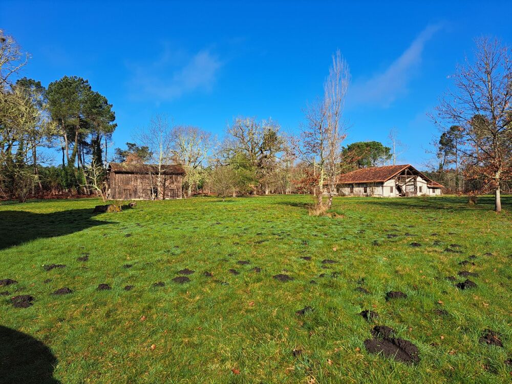 Vente Maison Ensemble immobilier Retjons