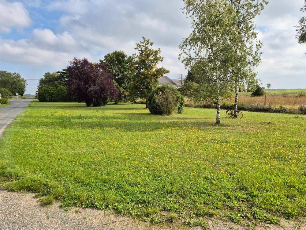 Vente Terrain Terrain constructible de 758 m² Courcelles le roi
