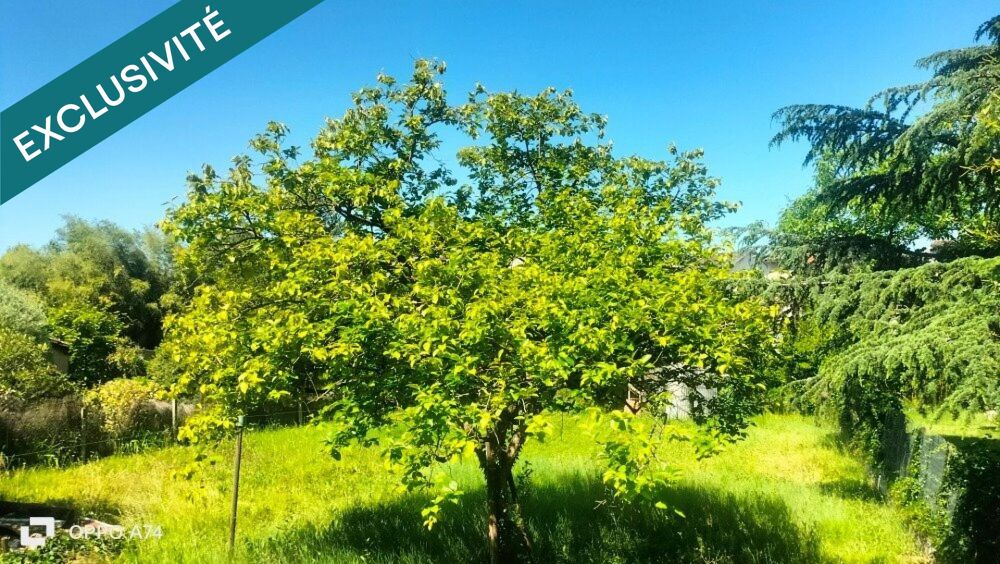 Encore rare au coeur de Gaillac !