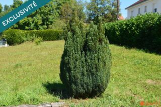  Terrain � vendre 557 m�