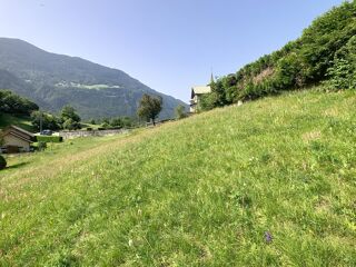  Terrain à vendre 1805 m²