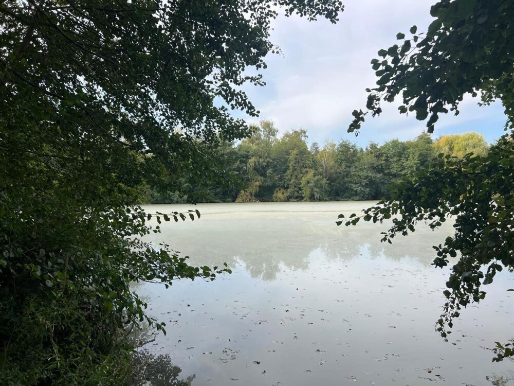 Vente Terrain Magnifique plan d'eau à côté de l'Yonne! Saint-denis-les-sens