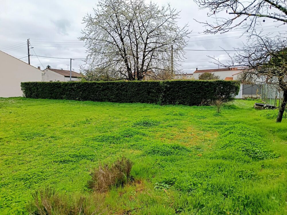 Vente Terrain Terrain situé à Cognac, d'une superficie de 645 m² Cognac
