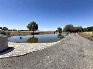  Terrain à vendre 16000 m²
