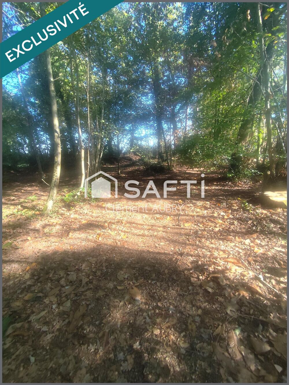 Vente Maison Pavillon en campagne avec un grand terrain arboré ! Saint-ouen-des-toits