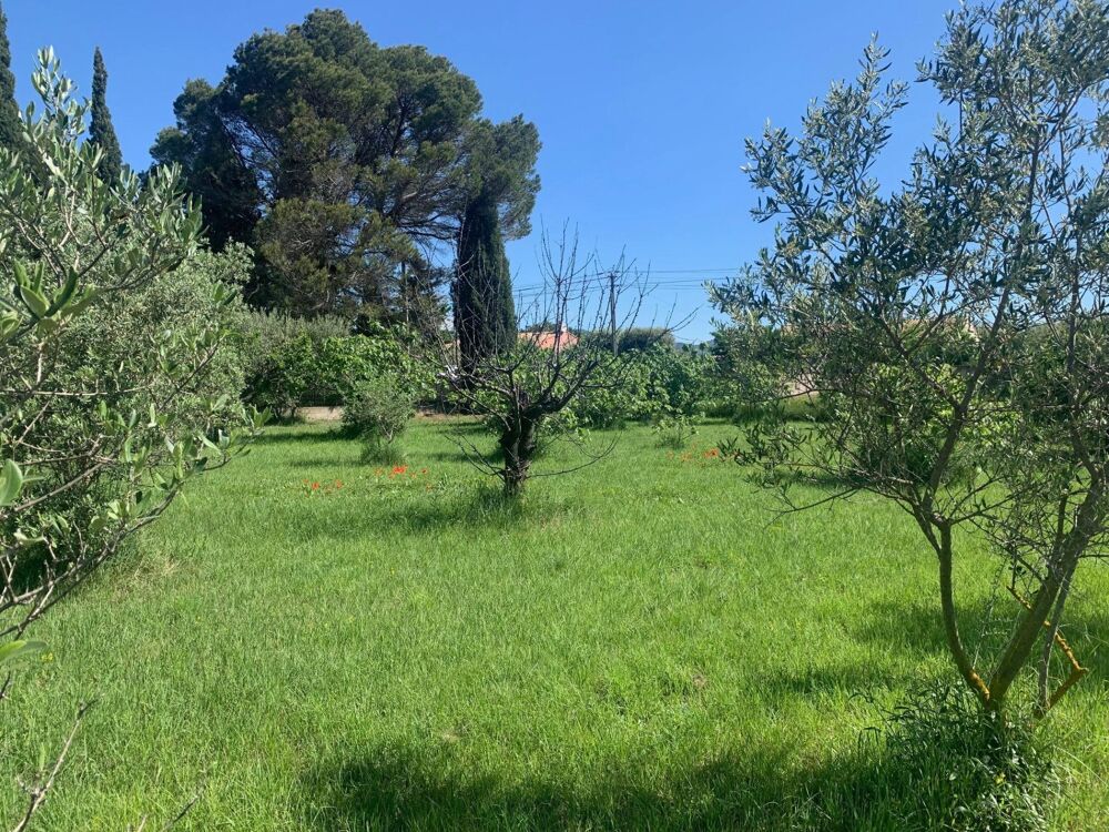 Vente Terrain Terrain à bâtir de 700 m² viabilisé en bordure Aubignan