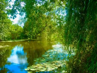  Maison � vendre 15 + pi�ces 450 m�