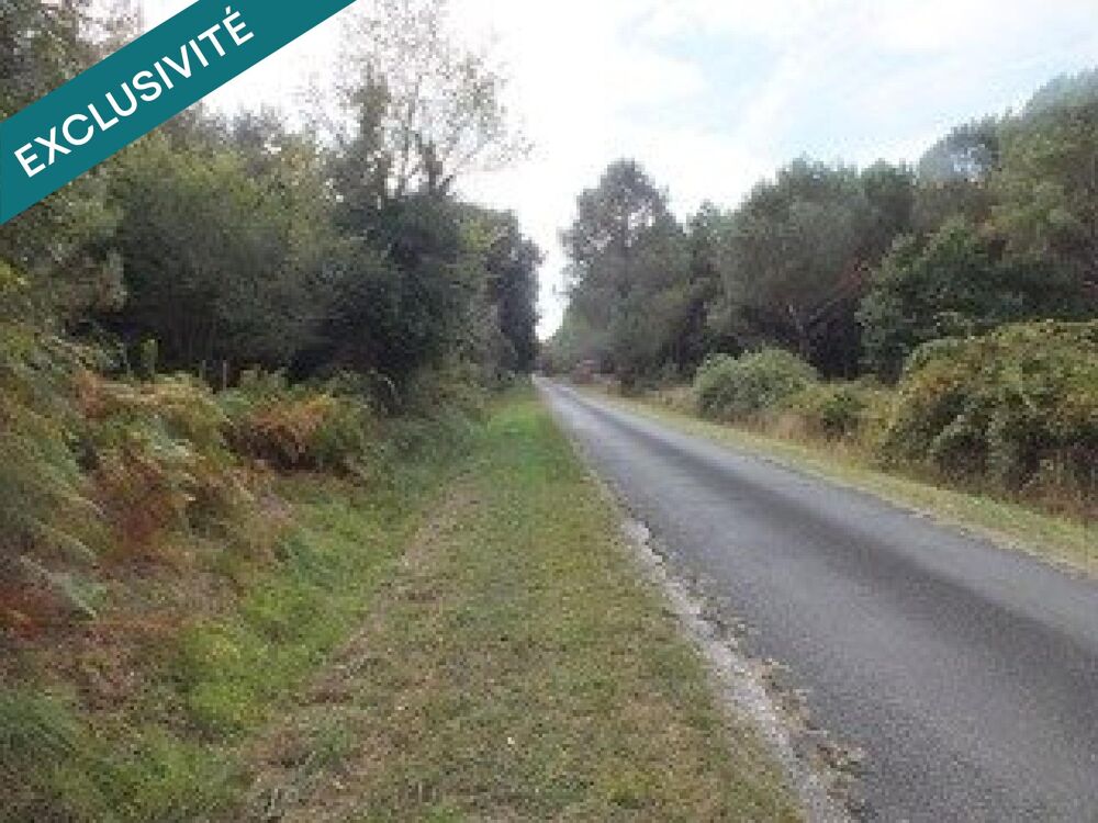 Vente Terrain VENDAYS-MONTALIVET: Votre havre de paix arboré - 800m2 près de l'océan Vendays-montalivet