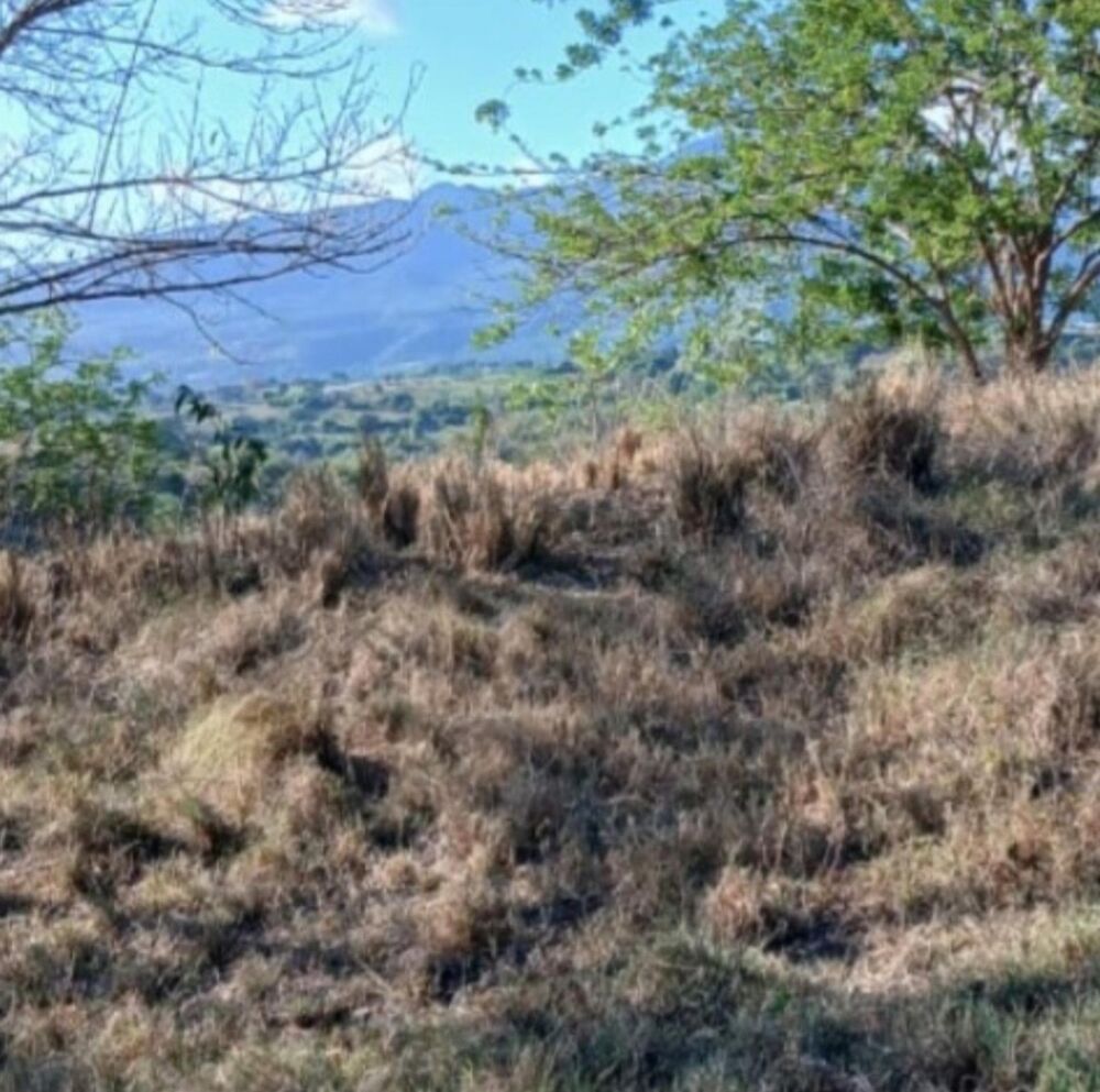 Vente Terrain TERRAIN PLAT VUE MER ET MONTAGNE Le carbet