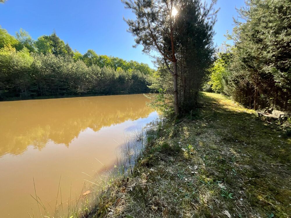 Vente Terrain Terrain boisé avec étang Allogny