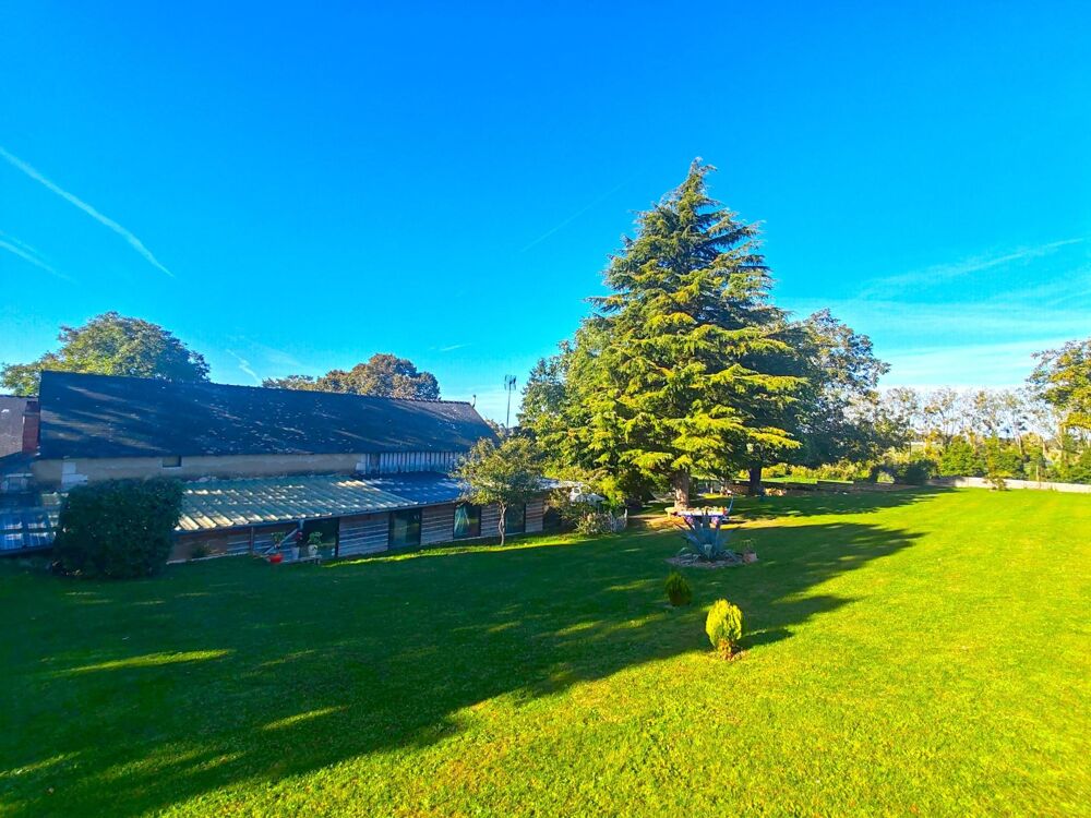 Vente Maison Longère de charme, sa maison d'amis et son parc paysager, sur 7238m² Bauge-en-anjou