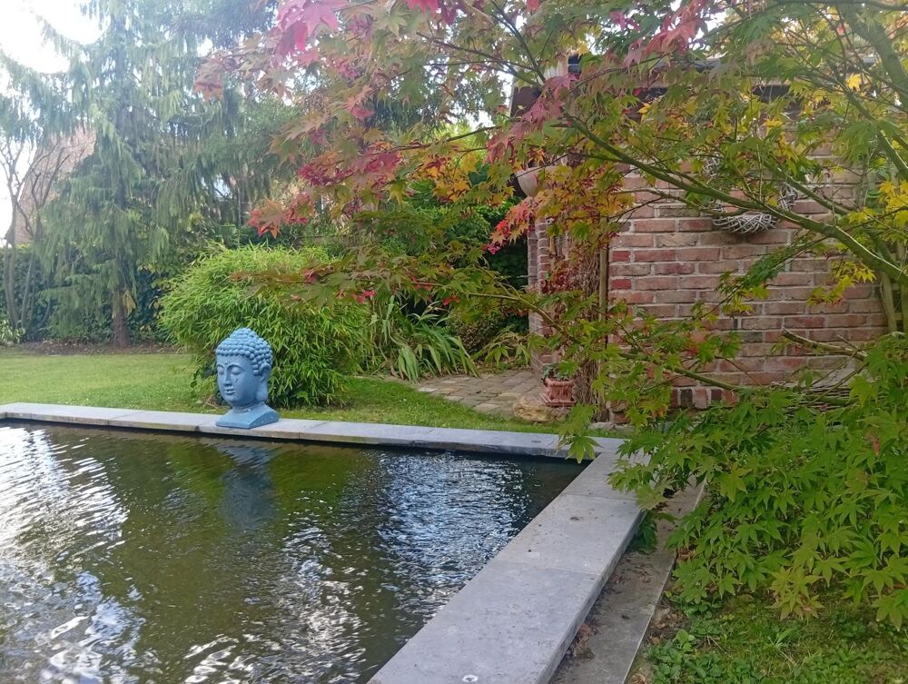 à vendre  Maison Bousbecque (59166)