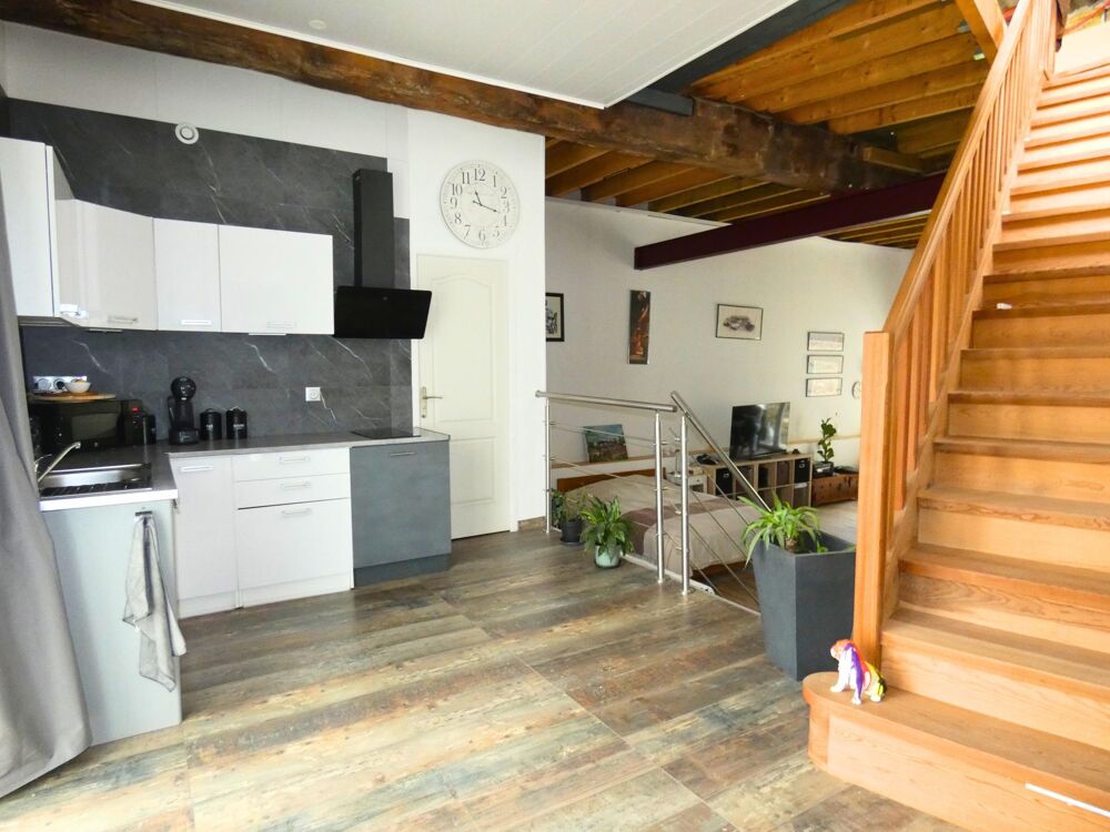 Loft 275 m² avec jardin et terrasse  énorme potentiel  Minervois