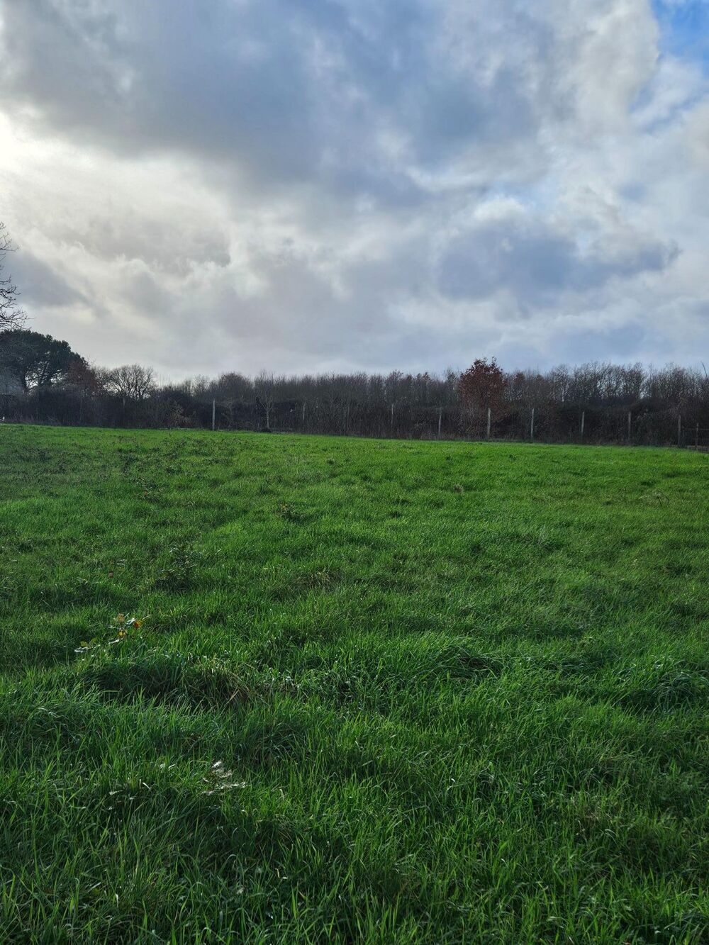 Vente Terrain grand terrain constructible au calme Bignay