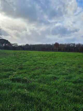  Terrain à vendre 3430 m²