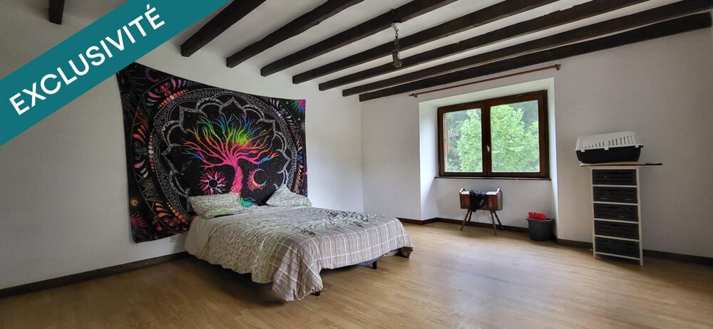 Vente Maison Maison familiale au calme avec piscine et dépendance Saint-maurice-colombier