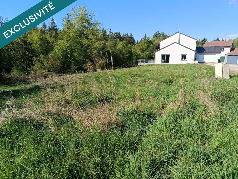 Vente Terrain Terrain constructible déjà viabilisé Chantraine