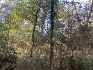  Terrain � vendre 2890 m� Langon