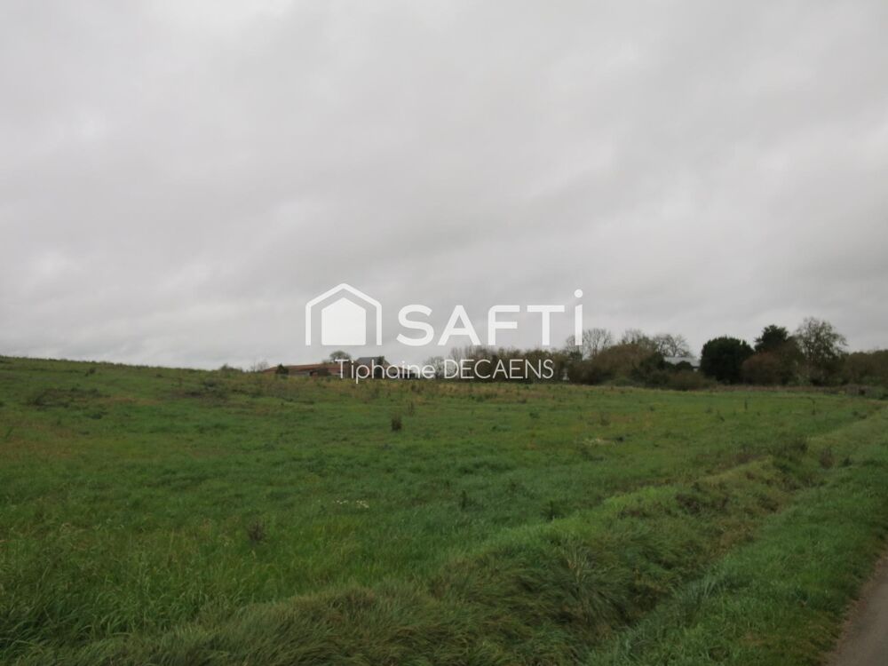 Vente Terrain Terrain a batir, Non viabilisé Doussay