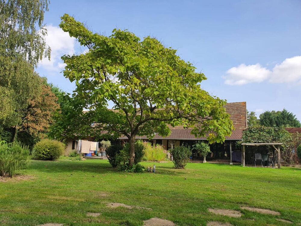 Vente Maison Magnifique ensemble Bressan situé dans un écrin de verdure Saint-germain-du-bois