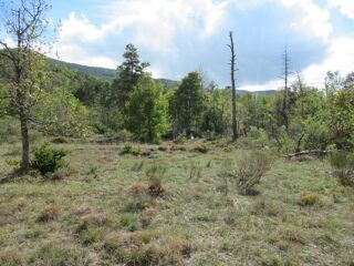  Terrain  vendre 9000 m