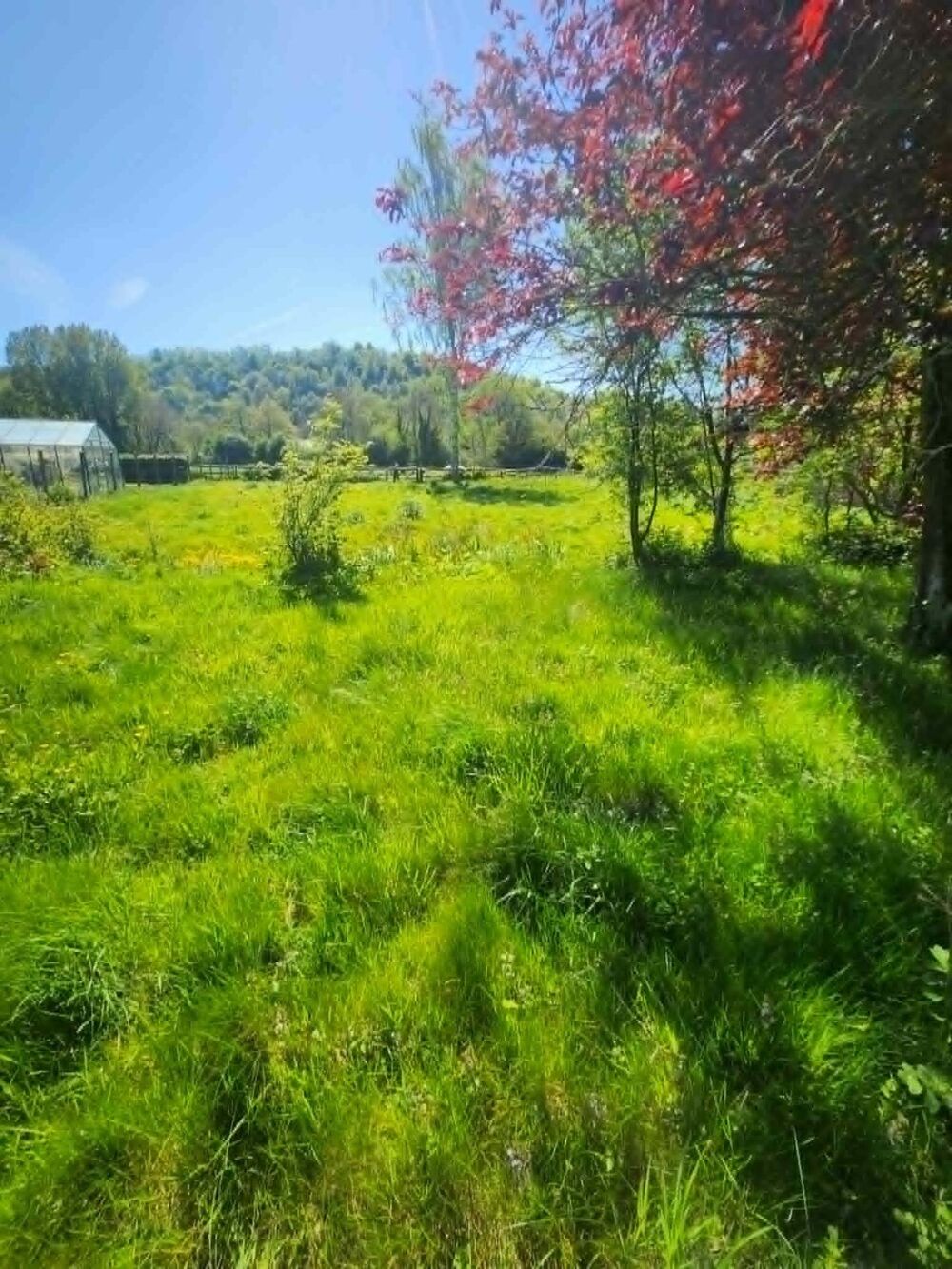 Vente Terrain situe  sur un secteur calme  et attrayant pour un projet familial ou professionel Setques
