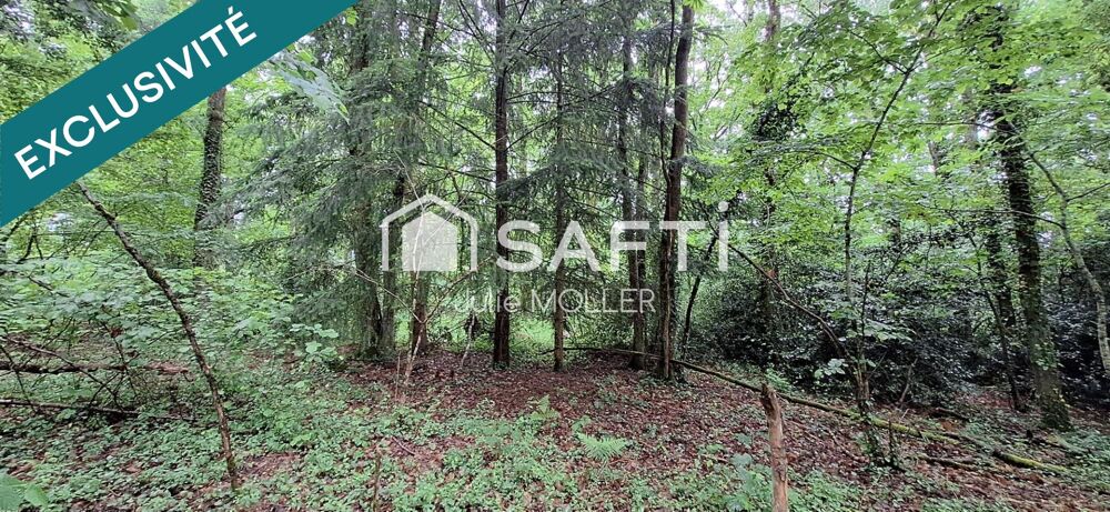 Vente Terrain Terrain 2,5Ha dont 3000m² constructibles Gueret