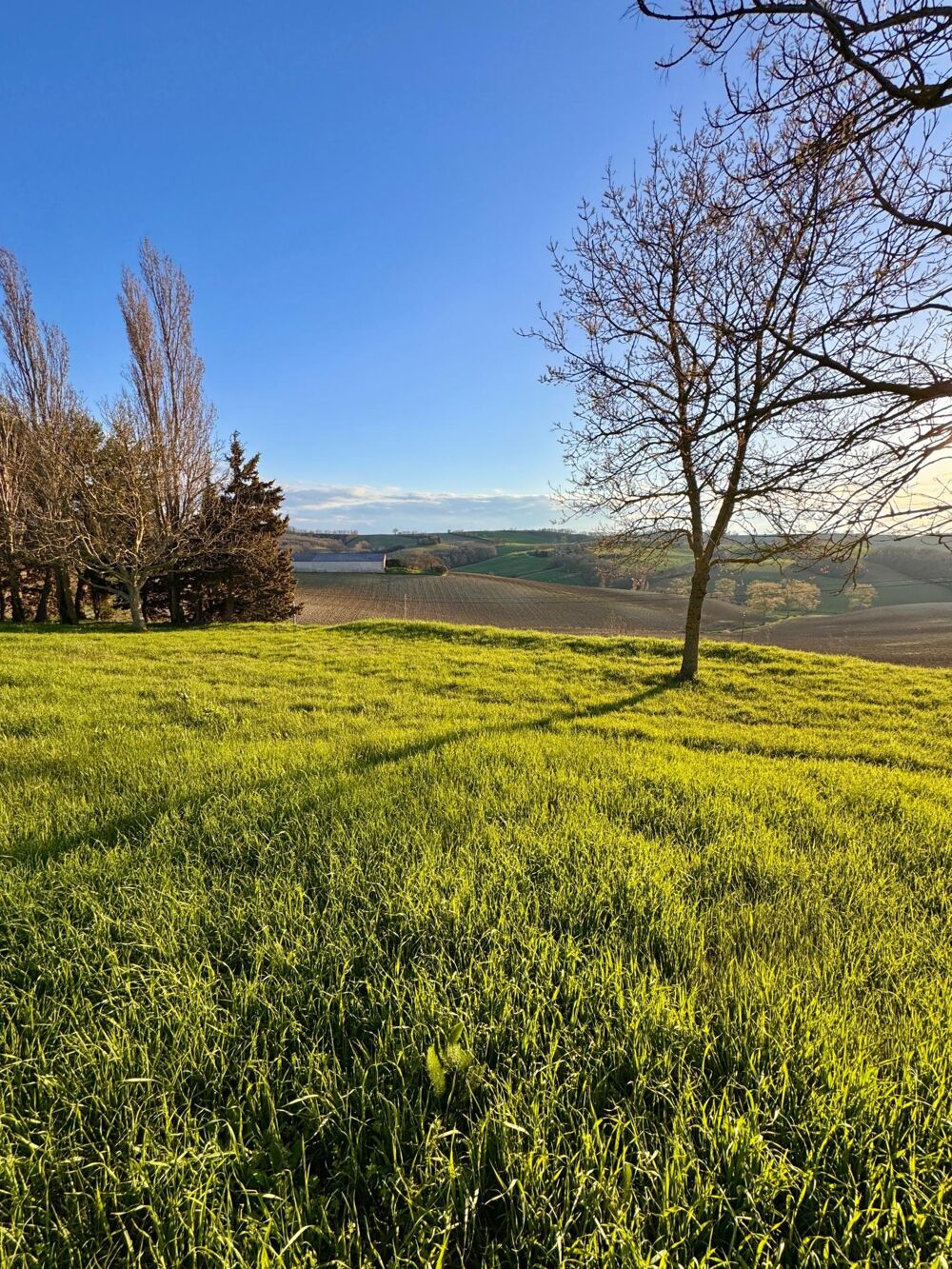 Vente Maison Maison de campagne sans vis à vis avec grand terrain Castelnaudary