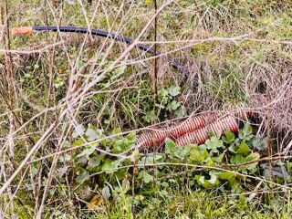  Terrain � vendre 2499 m�