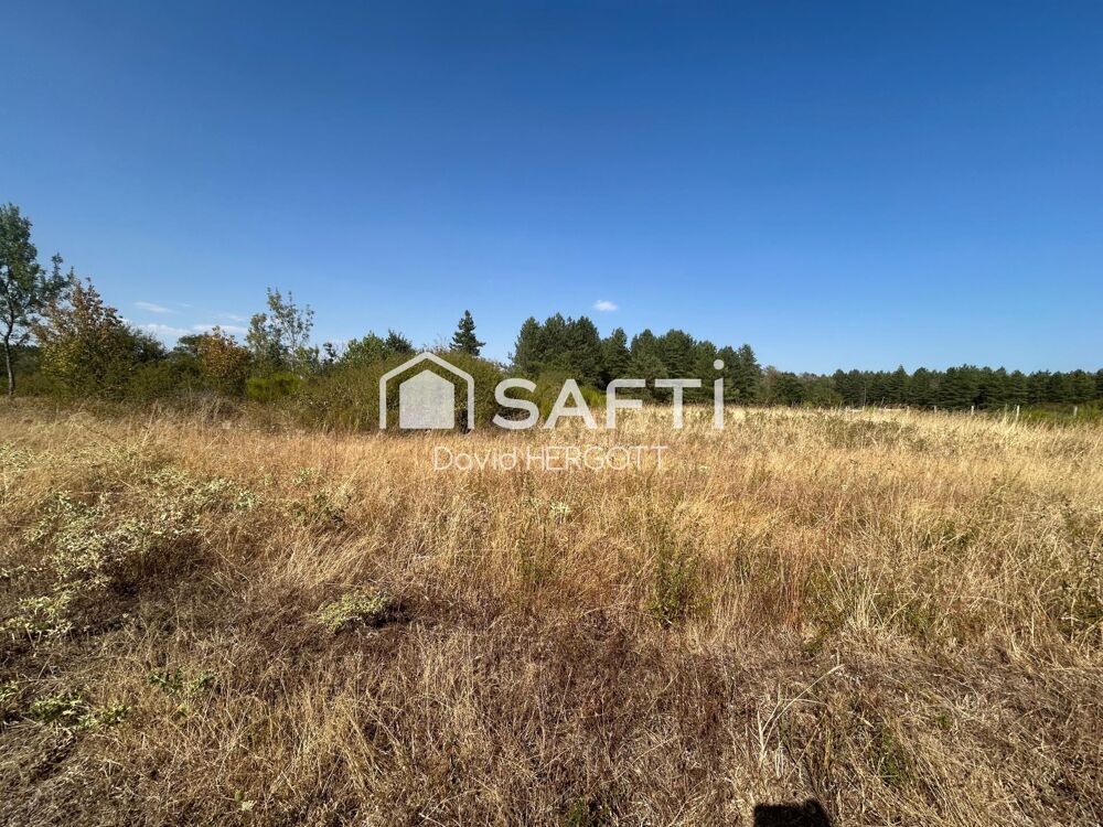 Vente Terrain Terrain agricole / de loisir de 4 322 m² – Lailly-en-Val Lailly-en-val