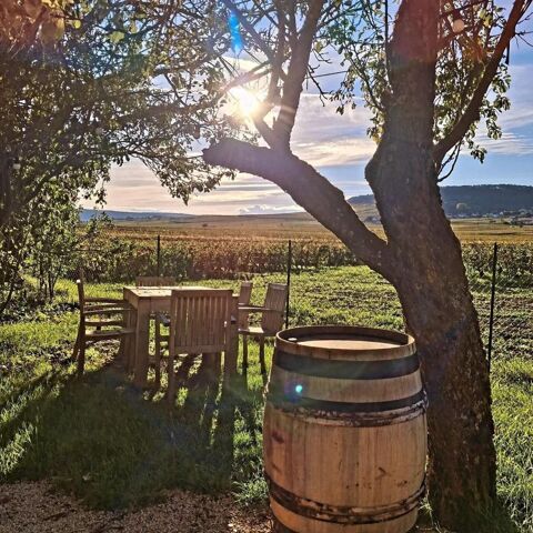A saisir restaurant (fond et murs) id&eacute;alement situ&eacute; face au vignoble 545000 21190 Volnay