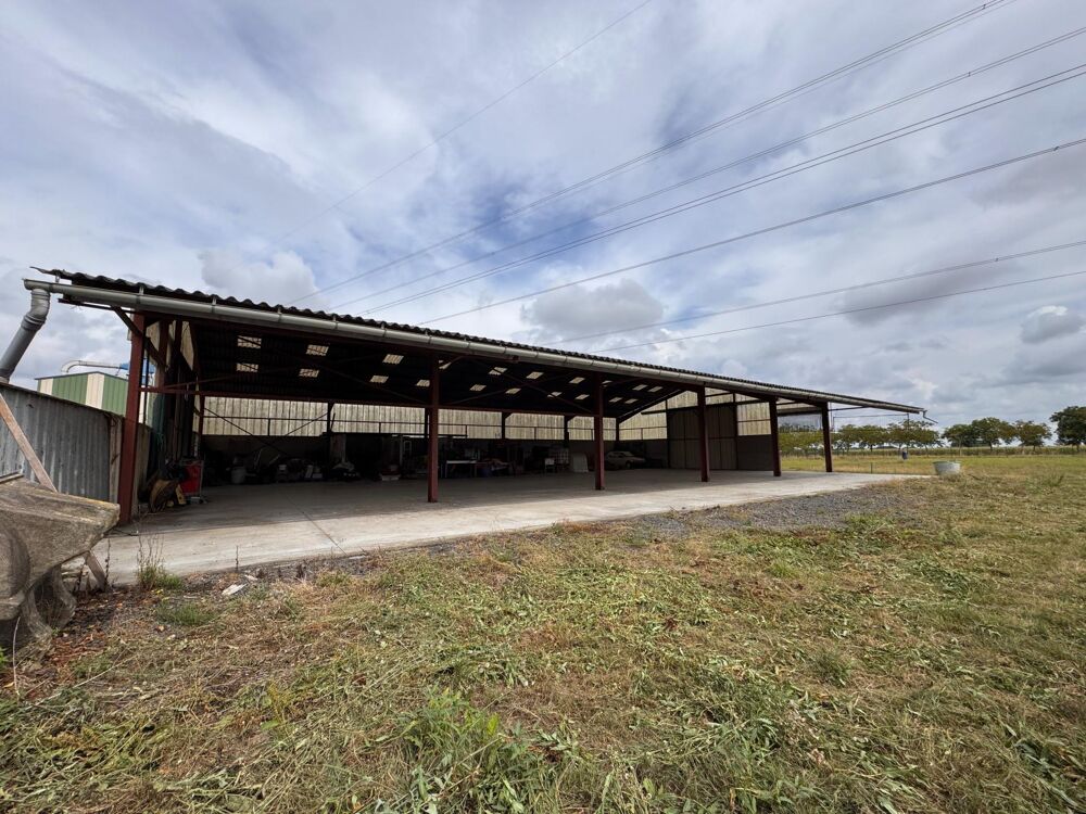 Vente Maison CORPS DE FERME À FORT POTENTIEL – ENVIRONNEMENT NATURE Bersee