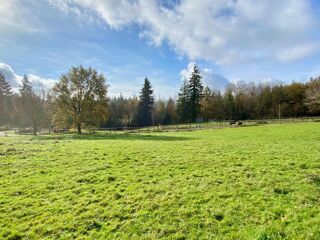  Terrain à vendre 3800 m²