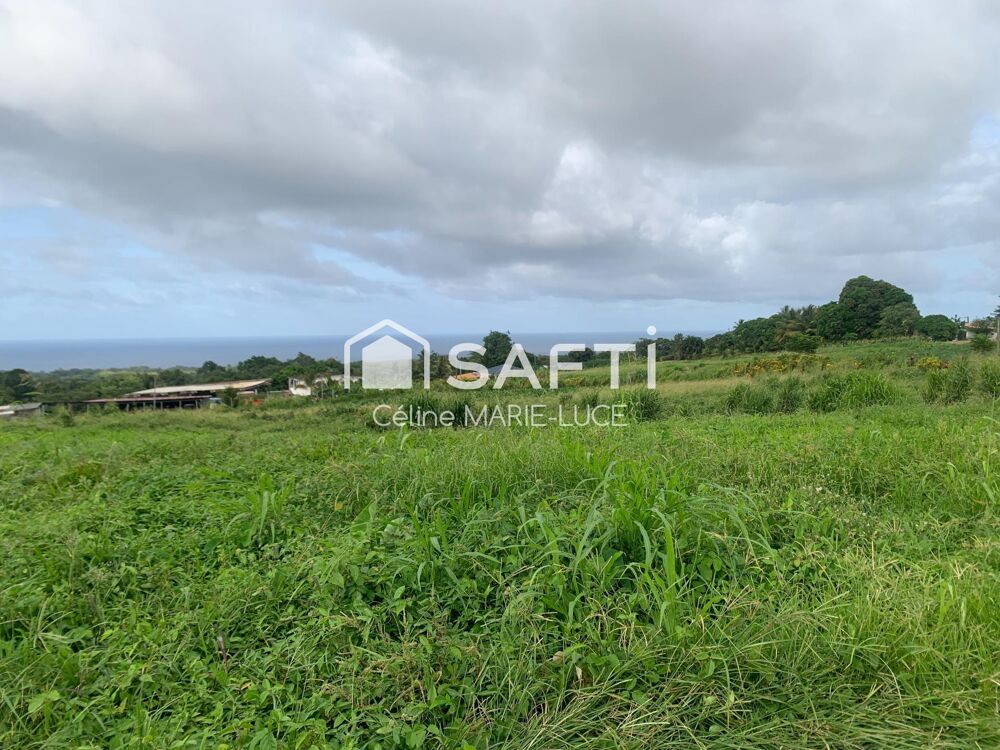 Vente Terrain Parcelle vue mer Basse-pointe