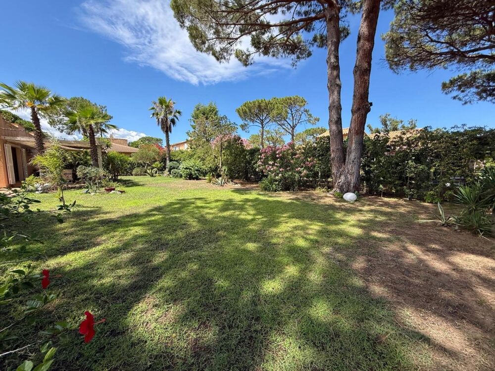 à vendre  Maison Borgo (20290)