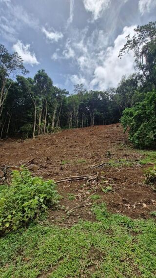  Terrain � vendre 1301 m�