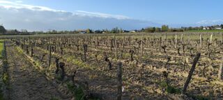  Terrain à vendre 33000 m²