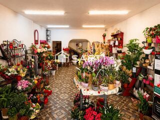   Fonds floral avec Interflora en centre-ville Bourg-saint-andeol